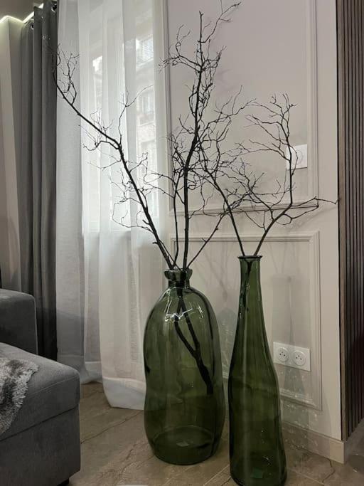 Luxueux Appartement Pres De La Cathedrale Strasbourg Luaran gambar
