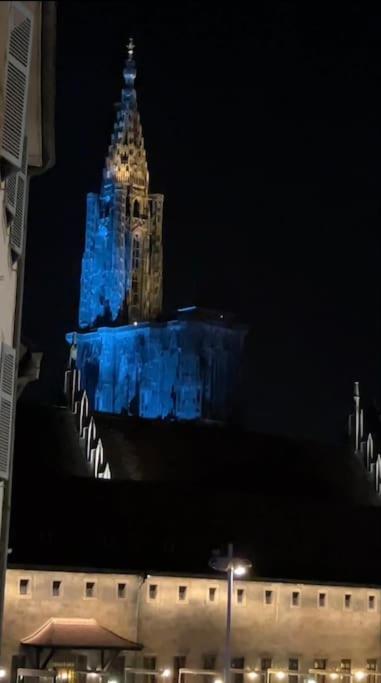 Luxueux Appartement Pres De La Cathedrale Strasbourg Luaran gambar